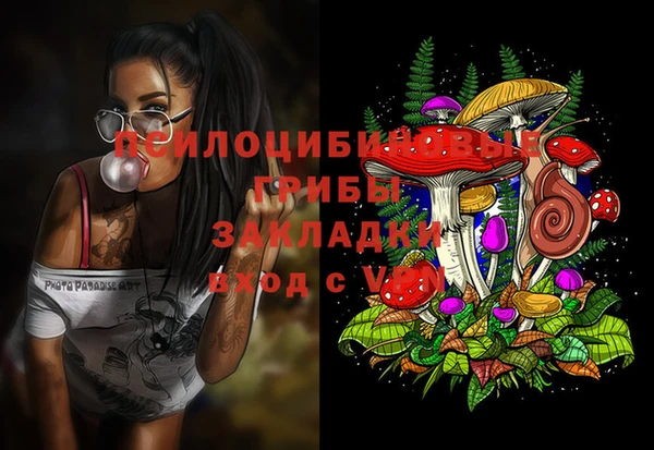 сатива Алексин