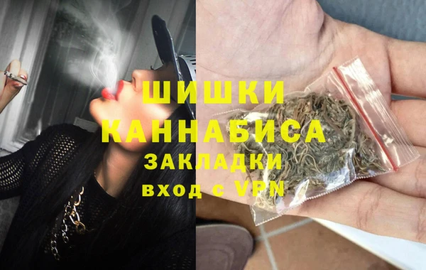твердый Алзамай