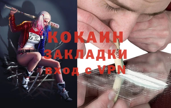 твердый Алзамай