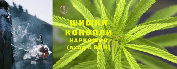 твердый Алзамай