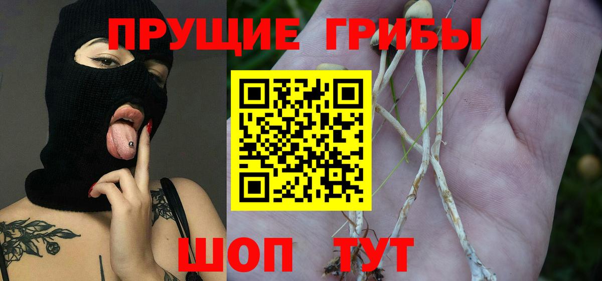 Псилоцибиновые грибы мицелий  Псилоцибиновые грибы мухоморы  Вход с VPN  Череповец 